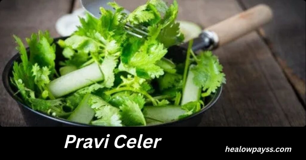 Pravi Celer