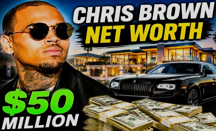Chris Brown Net Worth 2026: Income, Salary & Wealth